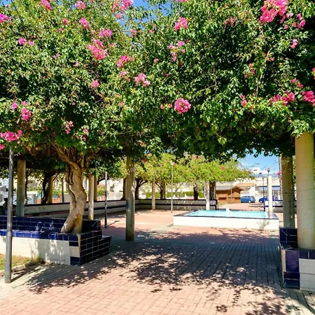 Alegria Casanova Apartament Torrevieja